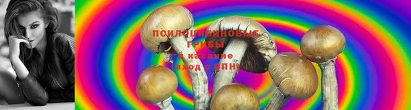 спайс Арсеньев