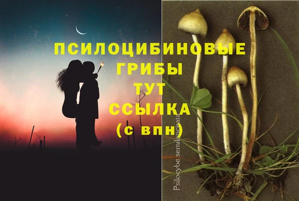 спайс Арсеньев
