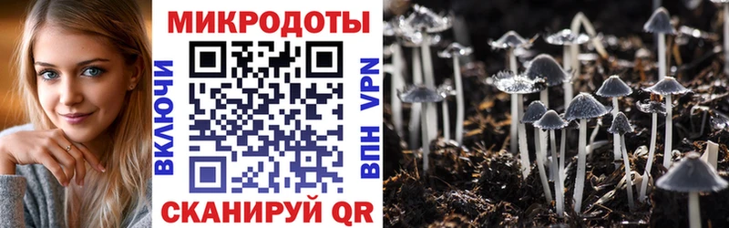 Галлюциногенные грибы Cubensis  Белокуриха 